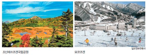 에디터 사진